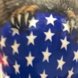 Meet your Posher, Marcus